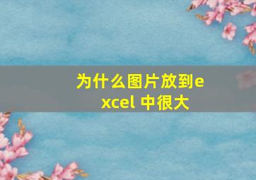 为什么图片放到excel 中很大